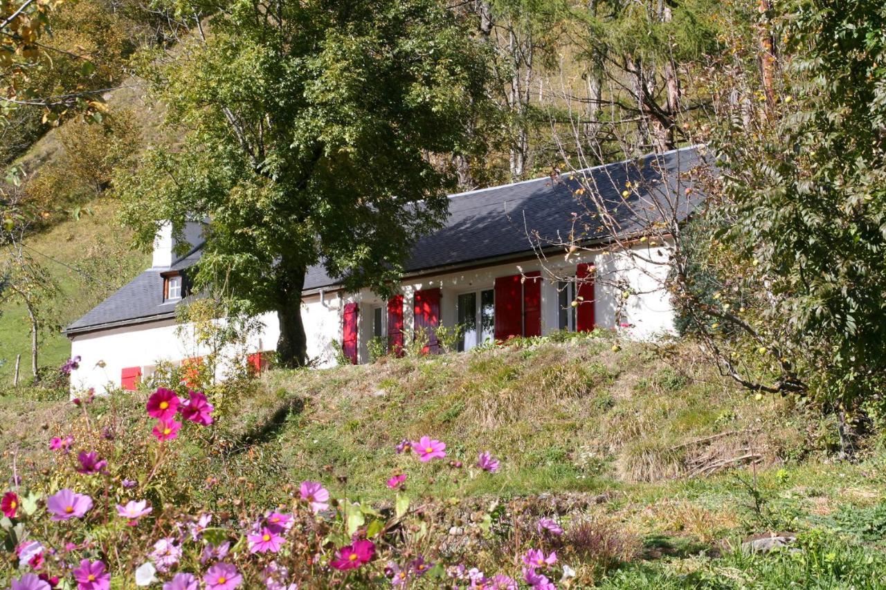 Comfortable Farm House Petit Barzun, In The Parc National Pyrenees Barèges Exterior foto